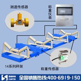 山西皮带秤厂家供应  矿用皮带秤价格  全国供应缩略图