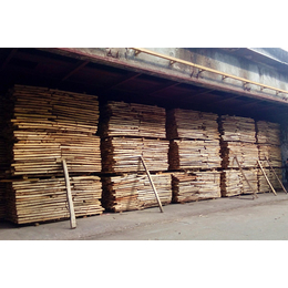隧道式木材烘干设备、上海木材烘干设备、亿能干燥设备(查看)