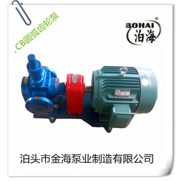 YCB型系列圆弧齿轮泵 传输 增压泵 食品用泵