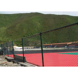 澄江县体育球场围栏、昆明兴顺发筛网、体育球场围栏用途