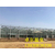 花卉玻璃温室,徐州玻璃温室,卓尔智能温室厂家(查看)缩略图1