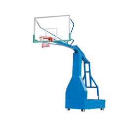 特冠体育篮球架生产厂家(图),新余篮球架,南昌篮球架
