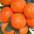 贺州哪里有柑橘营养杯苗卖呢缩略图4