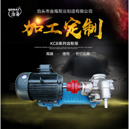 KCB55不锈钢齿轮泵