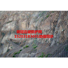 重庆高速边坡防护网、高速边坡防护网价格、高速边坡防护网供应商