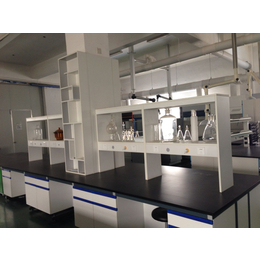 华巨升实验室系统设备(图)、pp实验台、实验台