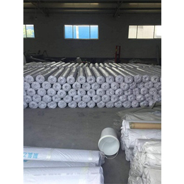 PVC防水卷材价格、新疆PVC防水卷材、金航宇防水材料