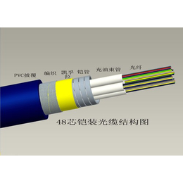 多模铠装光缆 请认准鸿鑫品牌 ****生产铠装光缆10年