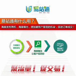 青岛网络公司代理、青岛网络公司、雷迅在线