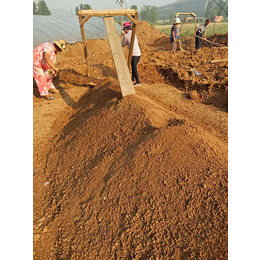 含壤种植土|欣雅土石方(在线咨询)|种植土