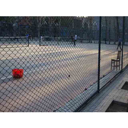 威友丝网(图)|篮球场护栏维修|郴州篮球场护栏
