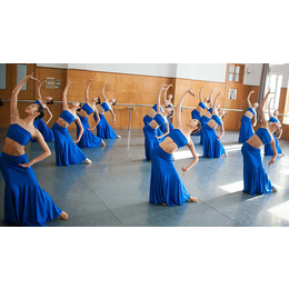 菲士舞蹈培训(图),民族舞教学,河北区民族舞