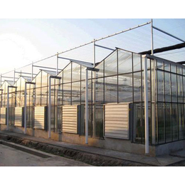 太原玻璃温室大棚、太原益兴诚钢构工程、玻璃温室大棚价格