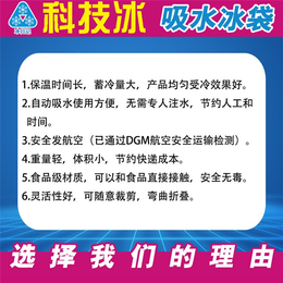 冰袋,友联冷链包装,泡沫箱加纸箱加冰袋