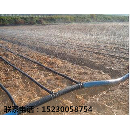智能灌溉系统 温室工程 河北其实科技公司