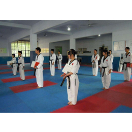 名扬武术培训学校(图)|跆拳道培训班价格|天水跆拳道培训