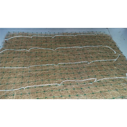 南京环保草毯多少钱,江苏环保草毯绿化,环保草毯