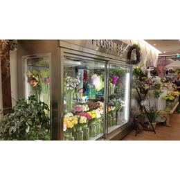 平移玻璃门鲜花保鲜柜 不锈钢烤漆盆栽柜  落地式多门鲜花柜