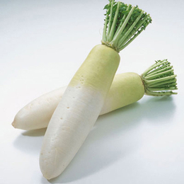 阎良蔬菜配送电话|西安蔬菜配送公司(在线咨询)|蔬菜配送电话