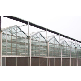 齐鑫温室园艺(多图)、玻璃温室大棚建造成本、玻璃温室大棚
