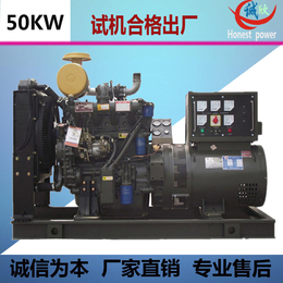 柴油发电机组大50KW 可带油箱 厂家* 现货供应