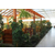 玉树生态餐厅|鑫华生态农业|生态餐厅建设缩略图1