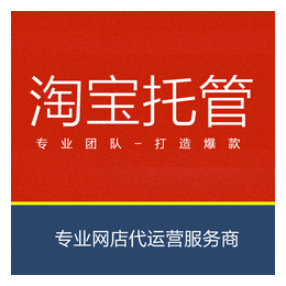 拓宽网络(图),店铺代运营,临海店铺代运营