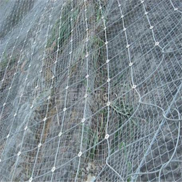 北京边坡防护网,被动边坡防护网报价,公路防护金属丝网
