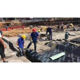 厂房屋顶防水施工|湖北宇虹防水(在线咨询)|防水施工
