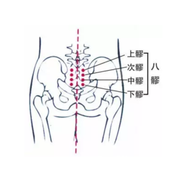  徒手*****有效的手法-基础技术手法有一指禅推拿疗法和滚法