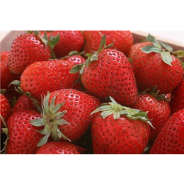 大量供应美国进口高糖度草莓浓缩汁