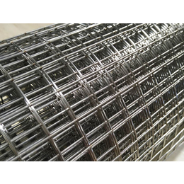 热镀锌电焊网批发-吐鲁番地区热镀锌电焊网-润标丝网(查看)
