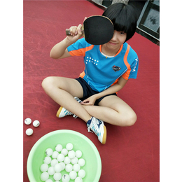 乒乓球假期培训班贵不贵、杨文豪体育、乒乓球假期培训