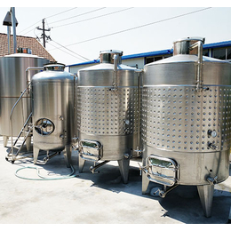 怀化葡萄酒发酵设备设备*_诸城酒庄酿酒设备(在线咨询)