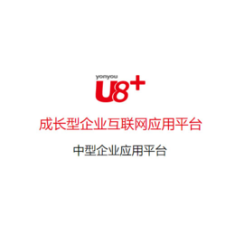 用友软件模板、江西用友软件、乐柠(查看)