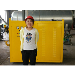 环保型电加热锅炉报价-台湾电加热锅炉-诸城龙达机械(查看)