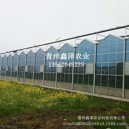 海南智能玻璃温室建设 玻璃温室工程 温室大棚厂家缩略图
