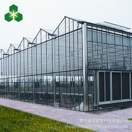 高质量的 智能钢化玻璃温室 厂家价格销售