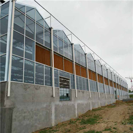 金盟温室(图)|连栋玻璃大棚|玻璃大棚