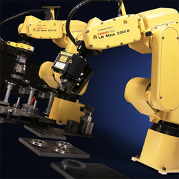 抛光打磨机器人-理想动力(在线咨询)-打磨机器人