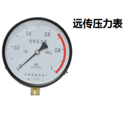 不锈钢耐震压力表、长城仪表(在线咨询)、压力表