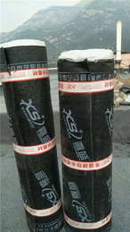 新泰SBS防水卷材厂家-喜盛防水材料-SBS防水卷材厂家