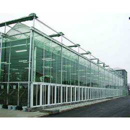 台州玻璃温室大棚|玻璃温室大棚设计图|安阳盛丰温室工程
