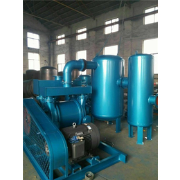 元升真空泵(图)、****生产水环真空泵、湘潭真空泵