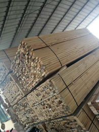 日照木材加工厂-日照腾发木业-辐射松木材加工厂