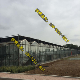 玻璃温室_辽宁玻璃温室的保温效果_抚顺产玻璃温室材料的厂