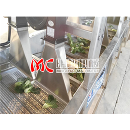 明超机械(查看)_山南地区蔬菜清洗机全国销售****实际