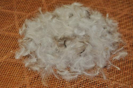 羽绒生产厂家-羽绒-兰兴羽绒新羽绒