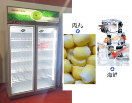 阿克苏立式速冻柜-达硕制冷设备生产-立式速冻柜单价
