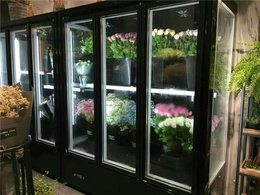 商用鲜花柜型号-达硕厨业(在线咨询)-锡林郭勒盟商用鲜花柜